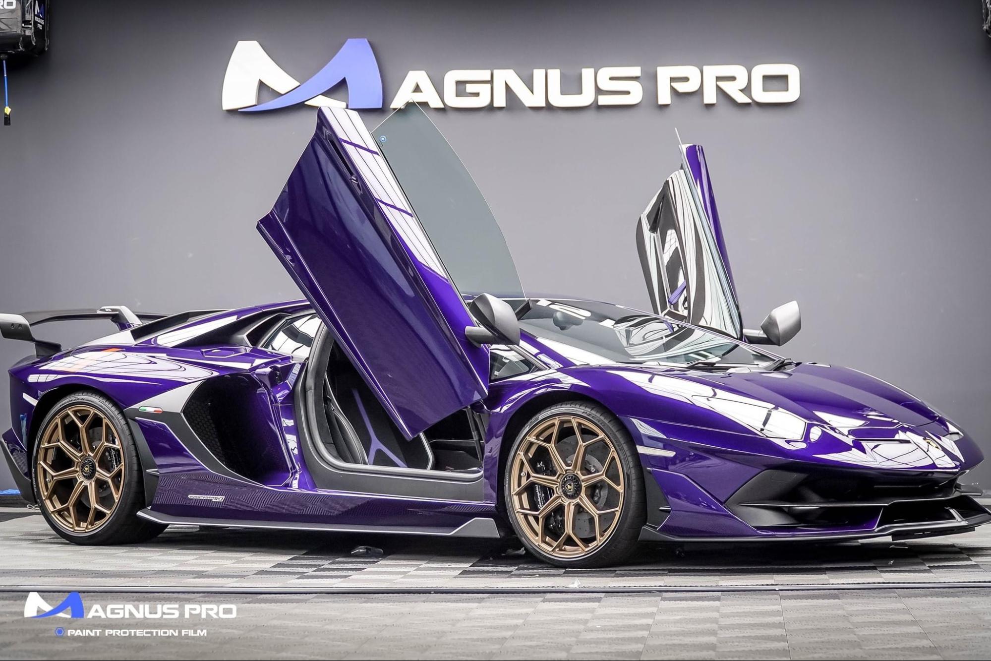 Magnus pro Việt Nam