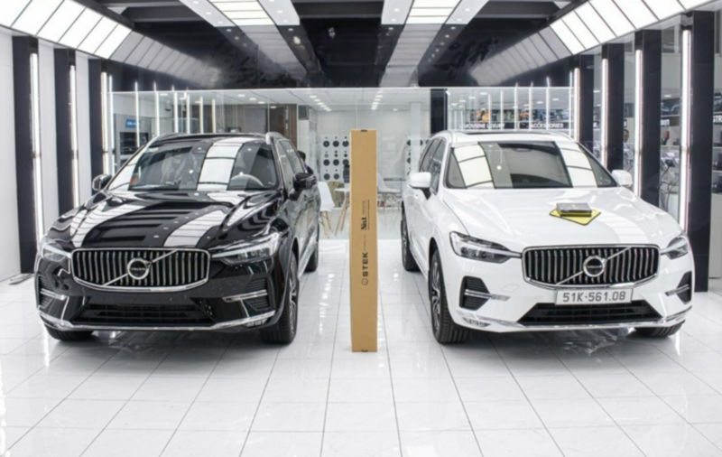 Phim PPF STEK ô tô