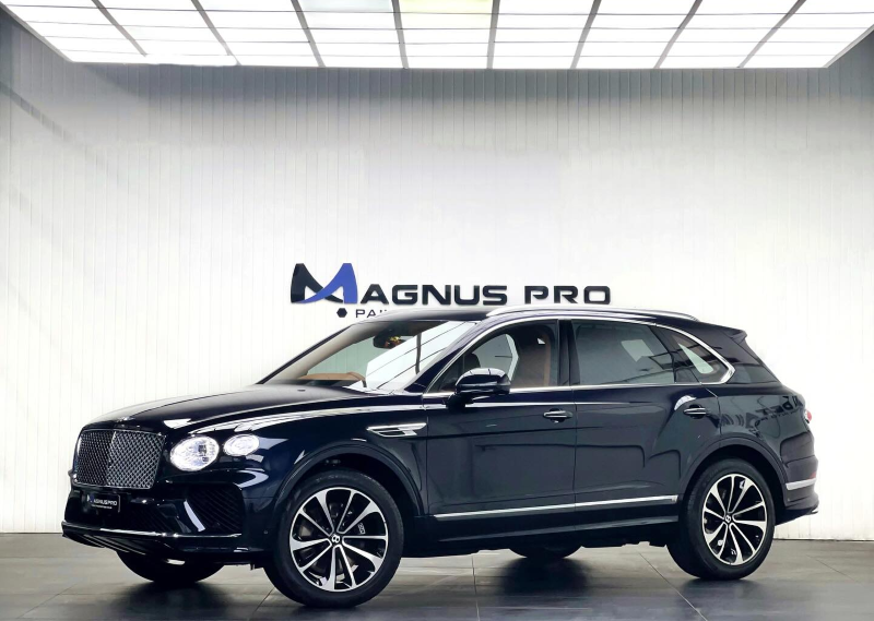 Các dòng sản phẩm của phim Magnus Pro