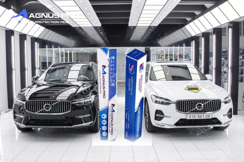 Hai thương hiệu PPF dành cho ô tô được nhiều chủ xe ưa chuộng