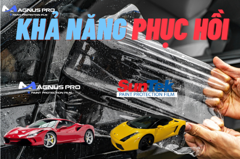 Khả năng tự phục hồi của hai dòng PPF Magnus Pro và PPF Suntek