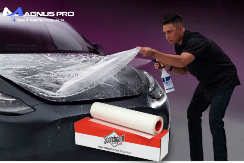 Thương hiệu miếng dán PPF (Paint Protection Film) 3M