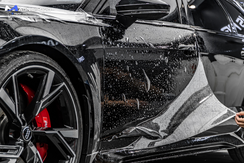 Cấu tạo PPF Magnus Pro