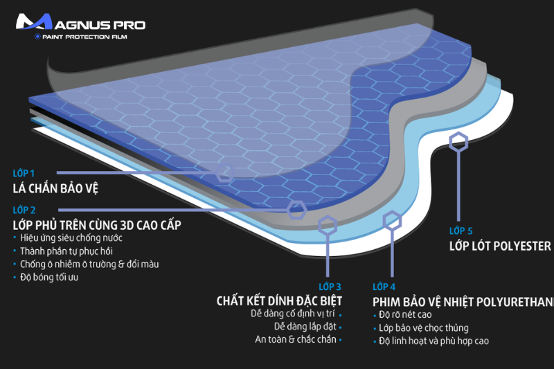 Cấu tạo PPF Magnus Pro