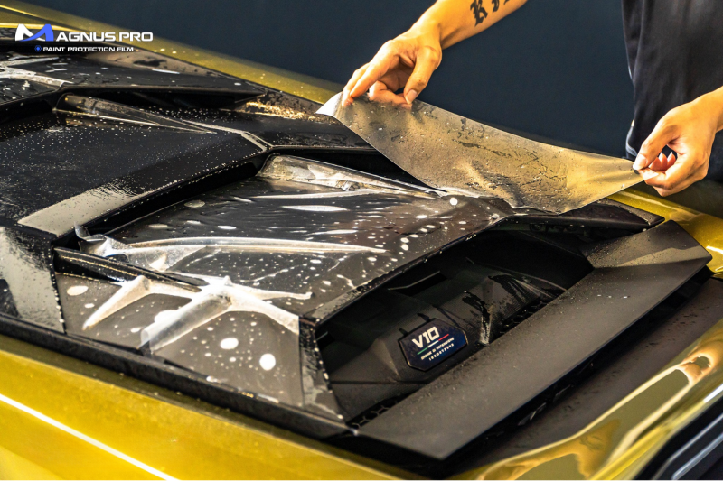 Cấu tạo của PPF Magnus Pro