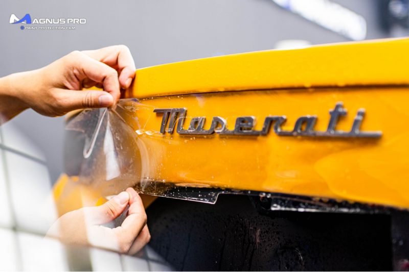 Cấu tạo PPF Magnus Pro