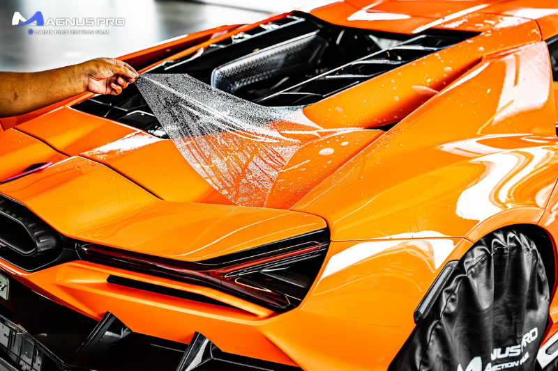 Cấu tạo PPF Magnus Pro