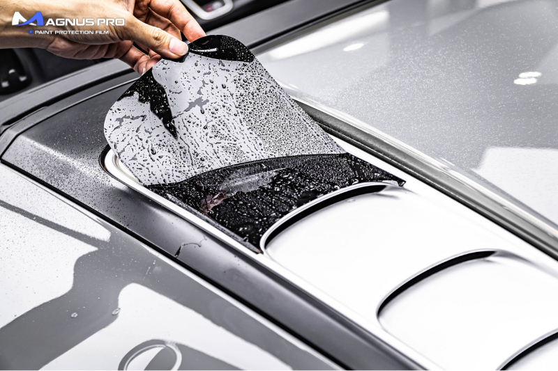 Tính năng nổi bật của PPF Magnus Pro