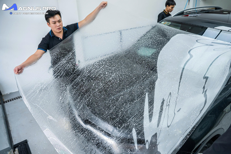 Nguồn gốc xuất xứ của PPF Magnus Pro